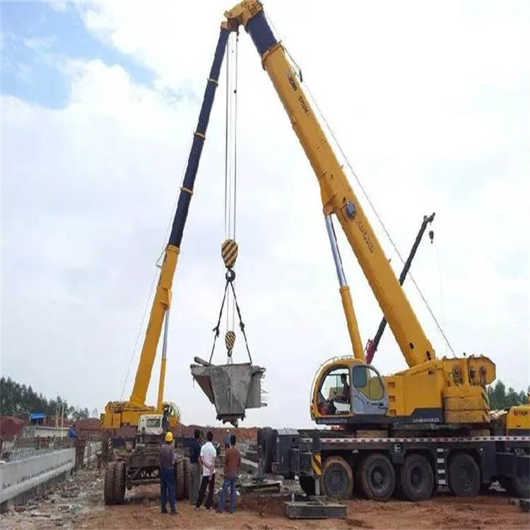 临武小型吊机出租电话|厂房设备吊装方案|24小时服务覆盖